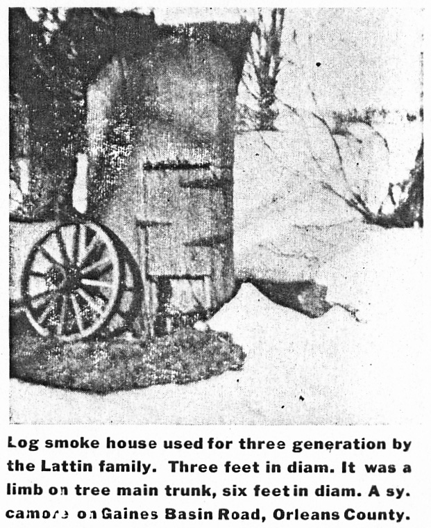 Old-Fashioned Smoke Houses B